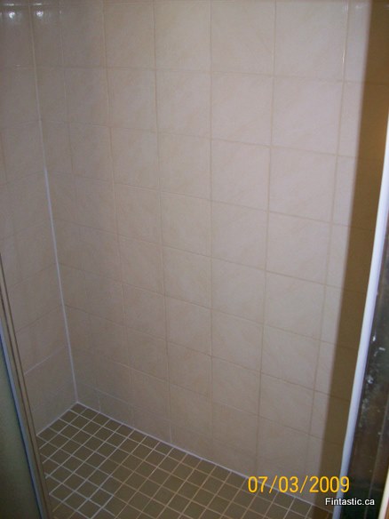 moldy-shower-tile after-1