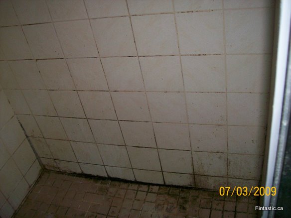 moldy-shower-tile before-2