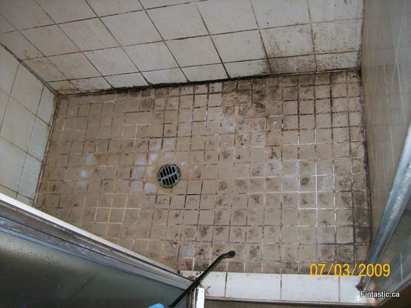 Moldy Shower Tiles